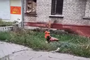 Живых нет - только могилы в палисадниках: жуткие кадры из Северодонецка