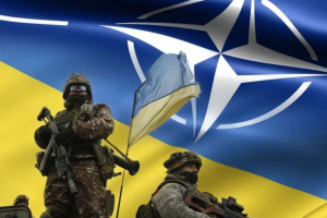 У НАТО оцінили початок контрнаступу ЗСУ