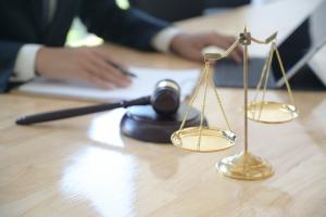 ВПЛ из Луганщины могут получить бесплатную юридическую консультацию дистанционно: подробности