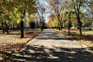 Осенние "пейзажи" Лисичанска и Северодонецка: в сети появились новые фото