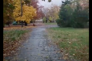 Осень в оккупированном Лисичанске: в сети показали новое видео из города