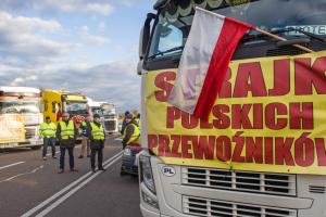 Польща пропускає зерно з РФ у великих обсягах, українські вантажі - блокує: статистика