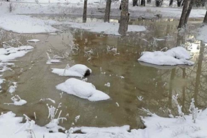 "Одразу отримали відмову": мешканці Кремінної намагаються впоратися з підтопленням самостійно