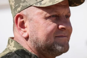 Чи чекати змін на фронті?: У західних ЗМІ бурхливо відреагували на відставку Залужного