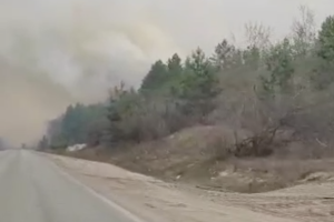 Під Сєвєродонецьком палає ліс: як "реагує" на пожежу "влада" міста
