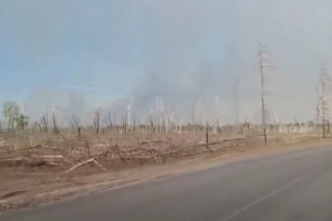 Под Северодонецком выгорают остатки леса - видео