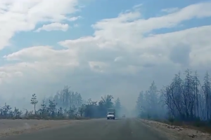 Лесные пожары под Северодонецком: в сети показали новые видео