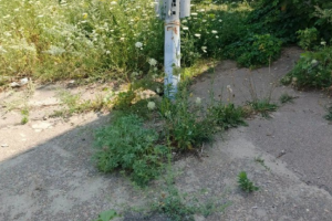 У мережі показали, що зараз відбувається у Лисичанську - фото