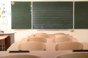 В школах оккупированной Луганщины будут преподавать ряд новых предметов