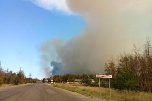 Пожар в районе Северодонецка: в сети появились фото