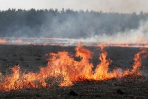 На окупованій Луганщині шукають винних у пожежах серед місцевих - ЦНС