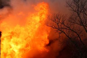 У Щедрищевому внаслідок пожежі згоріло близько 80 будинків - соцмережі