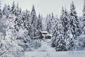 У Карпатах вдарив мороз та випав сніг - фото