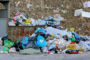 Техніка тільки на папері: на окупованій Луганщині міста тонуть у смітті