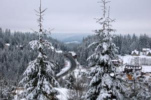 снег в карпатах