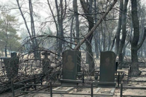 кладбище вороново