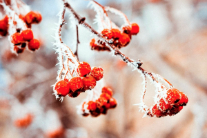 Погода в Украине в ноябре