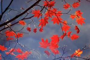 Прогноз погоды по Украине