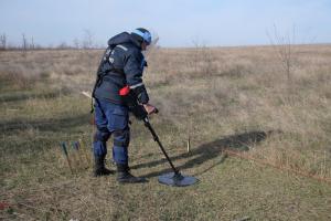 В Донецкой области за сутки уничтожено 105 единиц взрывоопасных предметов: сколько нужно лет, для полной очистки территорий?
