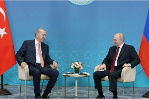 Эрдоган встретился с Путиным и предложил урегулирование ситуации в Украине