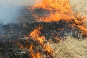 Вогняна катастрофа на Луганщині: степова пожежа знищила селище через бездіяльність окупаційної адміністрації