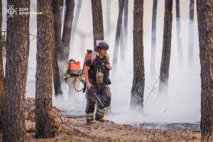 Масштабна лісова пожежа на Донеччині та Харківщині локалізована - ДСНС