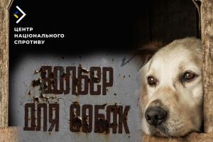 Жорстока розправа з безпритульними тваринами на тимчасово окупованій Херсонщині: стало відомо про деталі ситуації