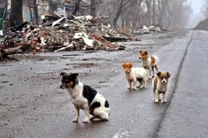 Окупований Донецьк