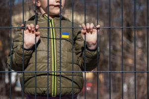 Донецька область в окупації