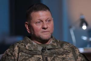 МВД РФ объявили в розыск Валерия Залужного