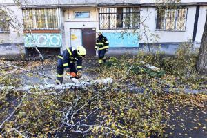 Рятувальники борються з наслідками негоди в усіх регіонах держави: подробиці
