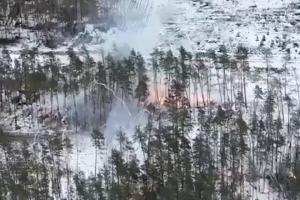 Загарбники знищили понад 26 тисяч гектарів лісу на Луганщині, - ЛОВА