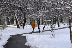 Ожидается потепление: синоптик рассказала, какой будет погода в Украине 22 января