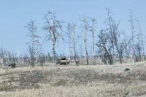 "Сад памяти": В Северодонецке оккупанты устроили очередную показуху на камеру - фото