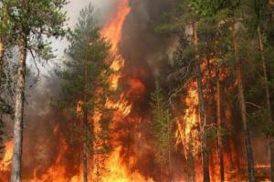 Стало відомо про потужну пожежу на околицях Сєвєродонецька
