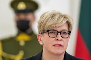 Литва готова отправить войска в Украину, но есть нюансы