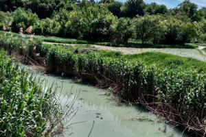 "Мінімум прісної води - максимум хімії": Екоцид у Маріуполі - фото, відео