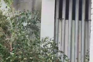 У мережі показали, як "працює" бібліотека в окупованому Рубіжному
