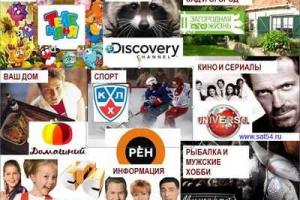Провайдеры «Телекарта», «Триколор», «Радуга», «Viasat»: преимущества операторов