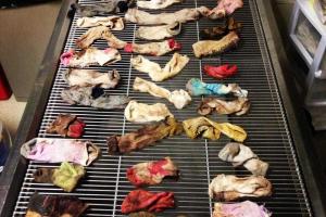 Дог чуть не умер, больше 43 носков