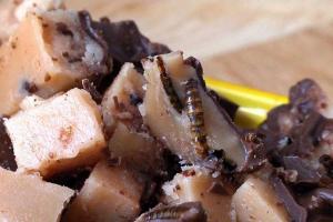 Музей насекомых кормит посетителей засахаренными червями