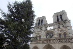 Россия подарила Парижу елку