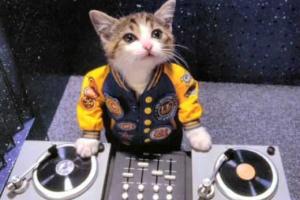 Советы для начинающих ди-джеев