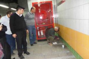 Кот провел пять лет в стене метро в Каире 