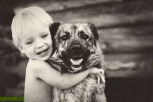 Ученые раскрыли секрет любви людей и собак