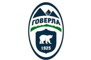 Будет ли дальше существовать ФК «Говерла»
