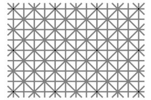 Сколько черных точек вы видите? Необычайная иллюзия покоряет соцсети