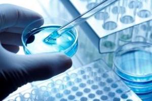 Стволовые клетки помогли избежать операции