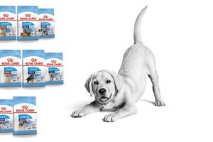 Royal Canin для собак - корм супер-премиум класса