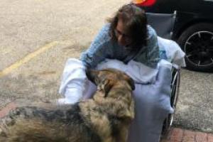 Женщине ампутировали руки и ноги после заражения от собачьего лизания